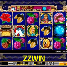 ZZWIN cadastro — tela de formulário no app oficial