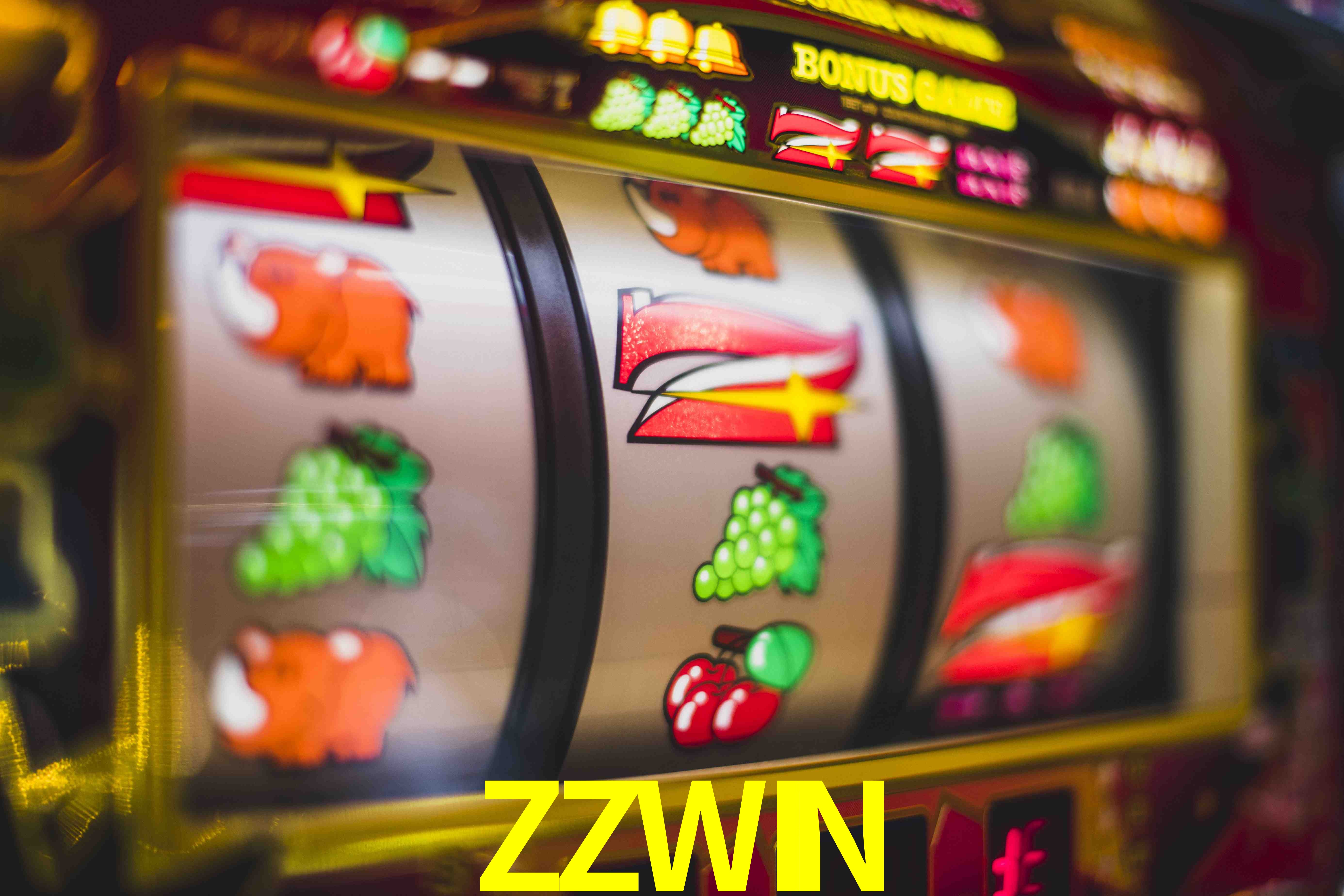Programa VIP ZZWIN