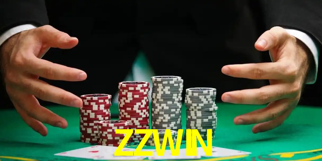 Performance App ZZWIN